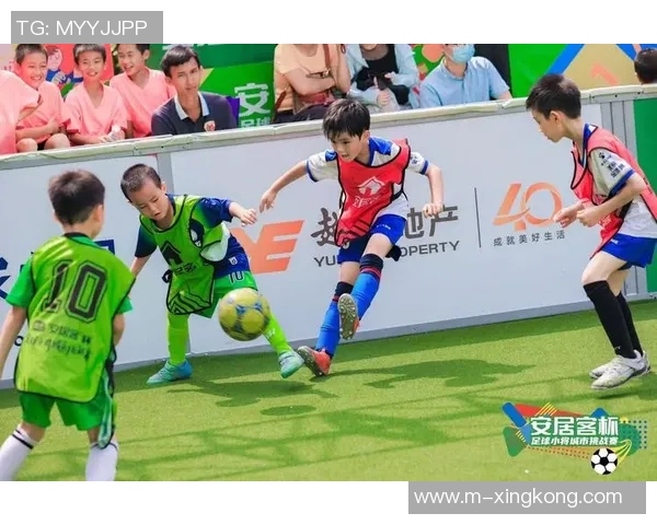 杨姓足球球星的精彩表现与成就解析以及他们在国内外赛场的影响力