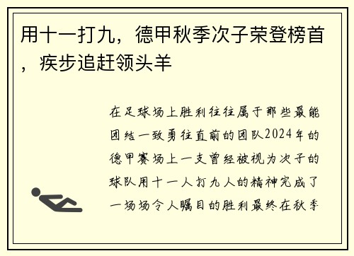 用十一打九,德甲秋季次子荣登榜首,疾步追赶领头羊